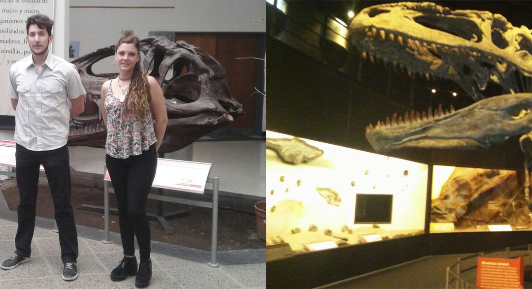 Instalación en el Museo Paleontológico de Trelew